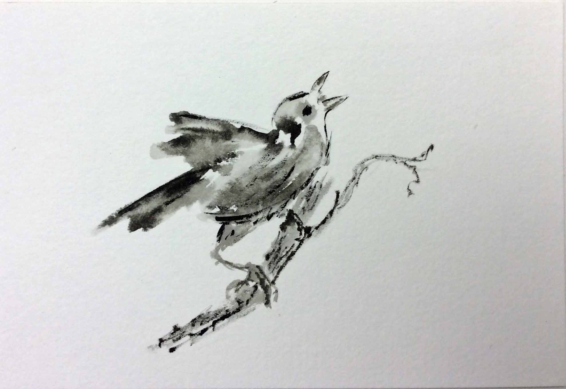 singing bird on branch (3)