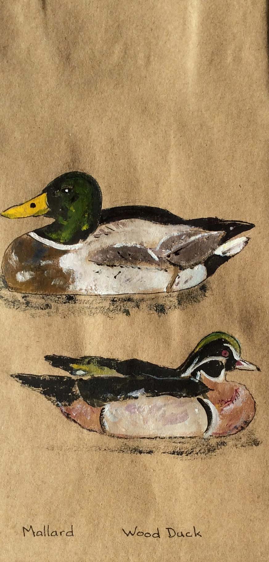 Mallard and Wood Duck