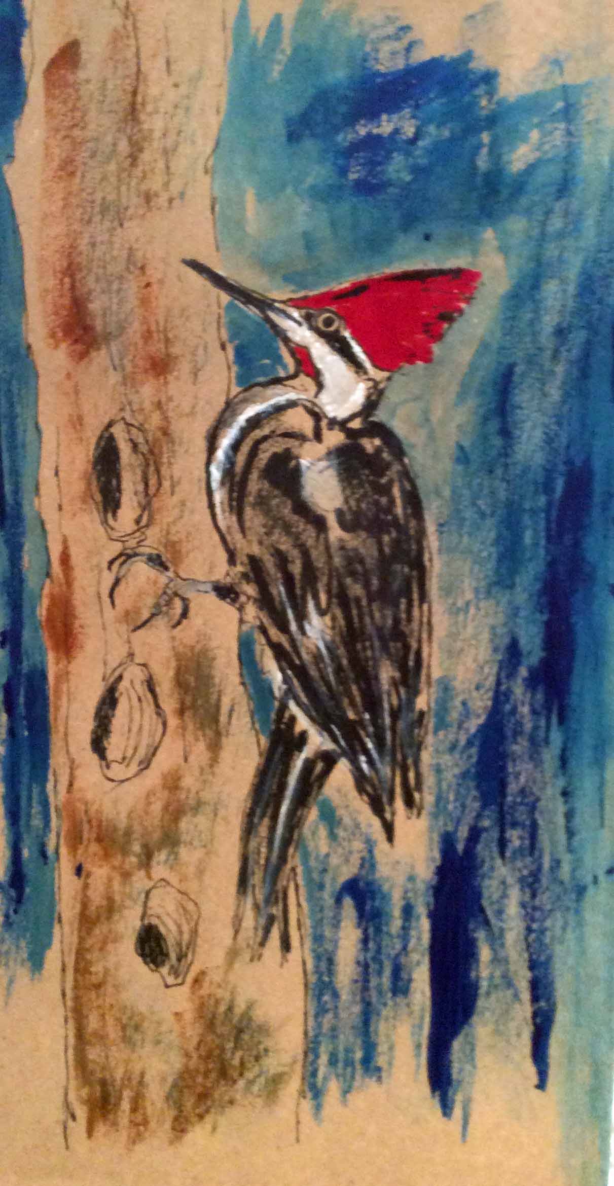 Red Headed WoodpeckerIMG_8920