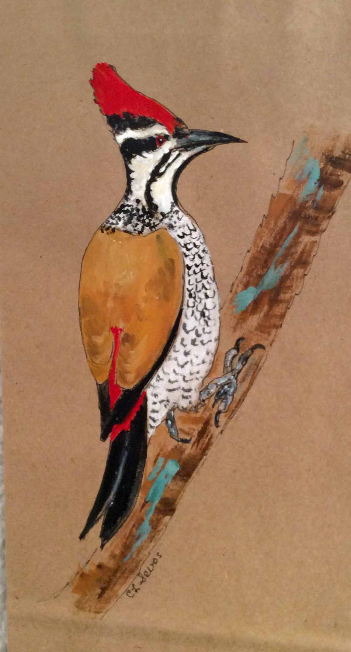 WoodpeckerIMG_8930