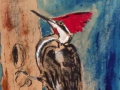 Red Headed WoodpeckerIMG_8920